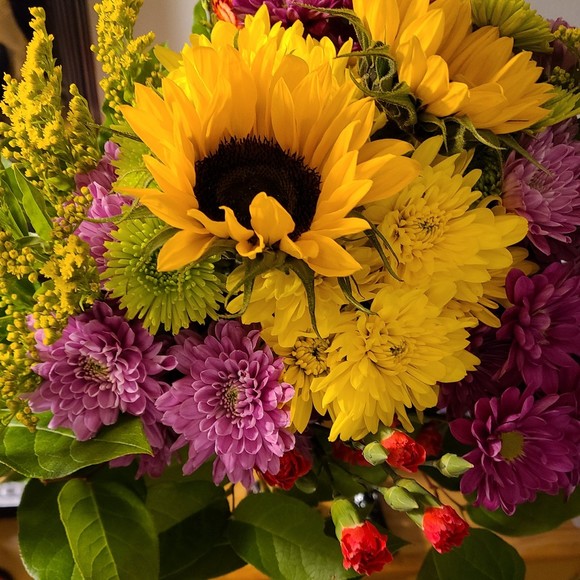 Meet your Posher, Jessica - Picture 1 of 1